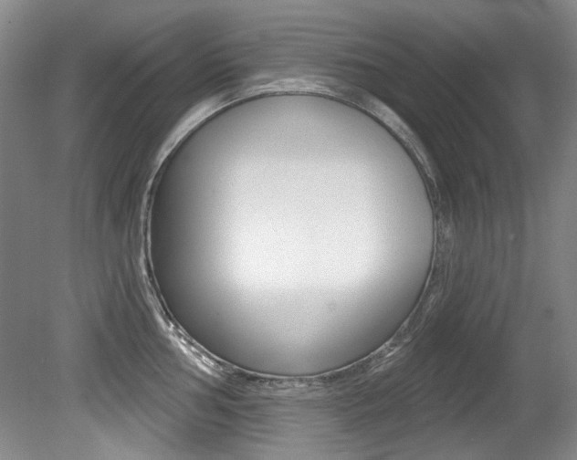 X0000079331002200611170951