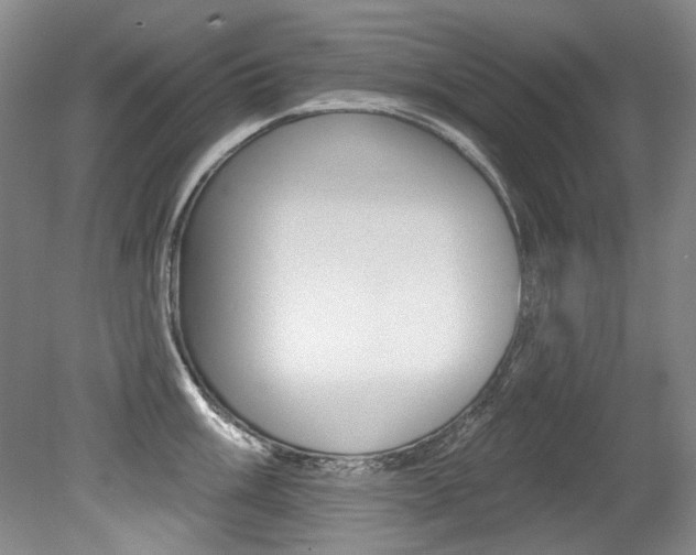 X0000079331003200611170951