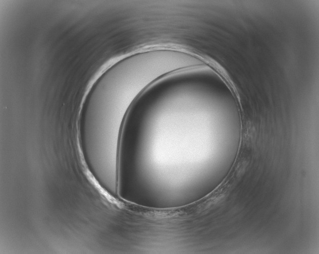 X0000079331005200611170951