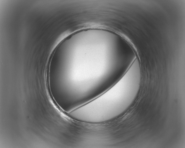 X0000079331007200611170951