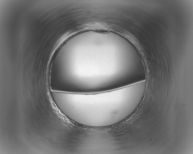 X0000079331008200611170951