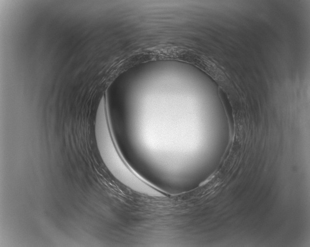 X0000079331010200611170950