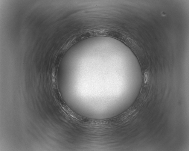 X0000079331011200611170950