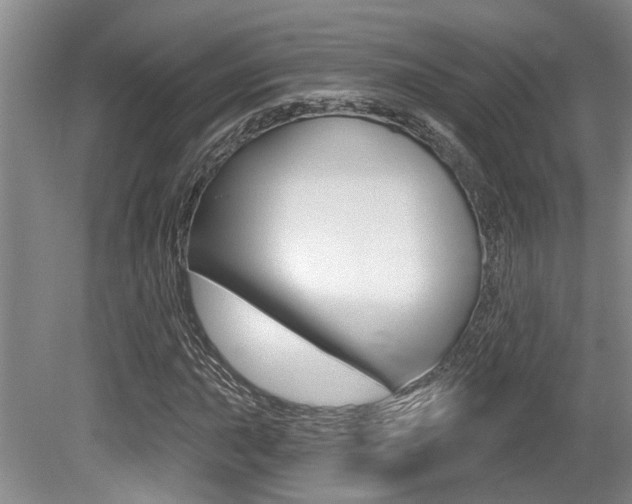 X0000079331015200611170951