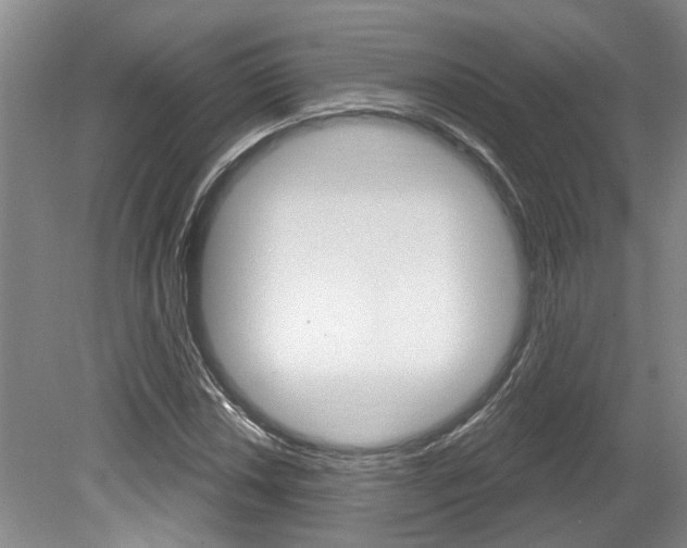X0000079331018200611170951