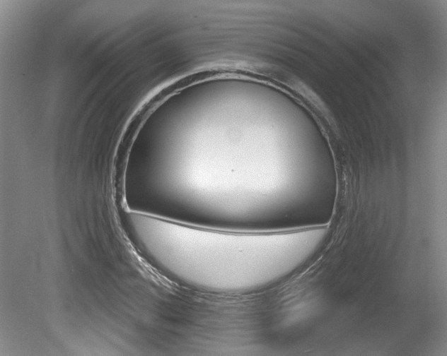 X0000079331020200611170951