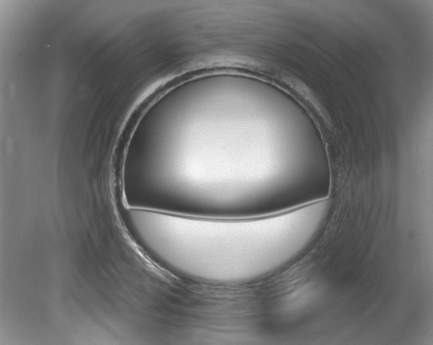 X0000079331024200611170951