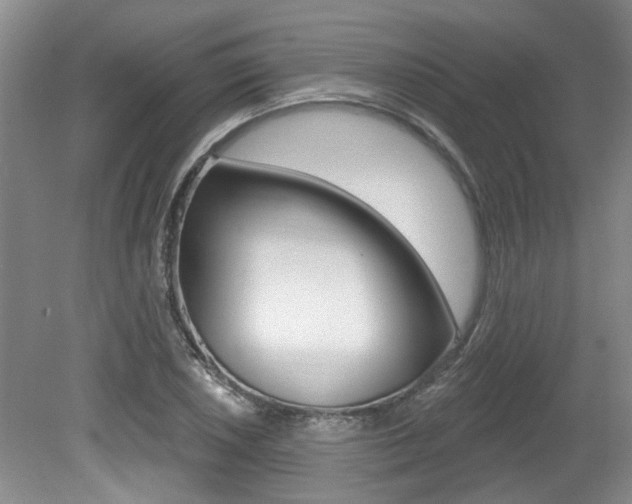 X0000079331026200611170951