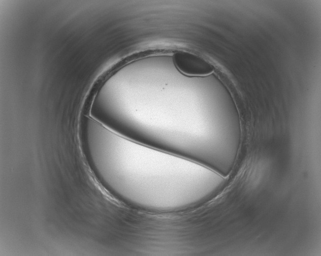 X0000079331029200611170951