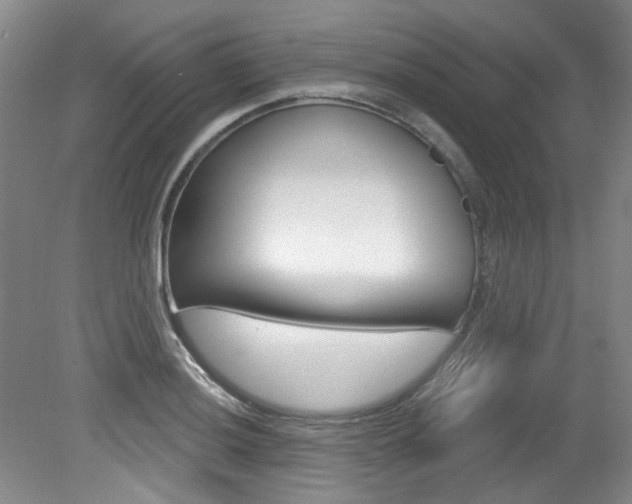X0000079331036200611170951