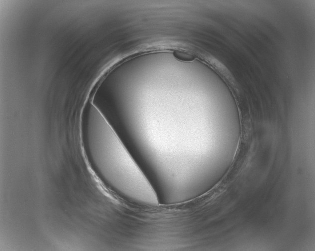 X0000079331039200611170951