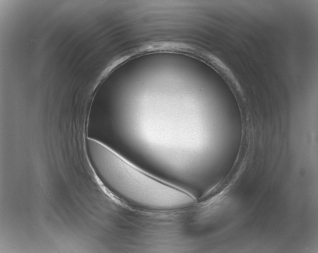 X0000079331041200611170951