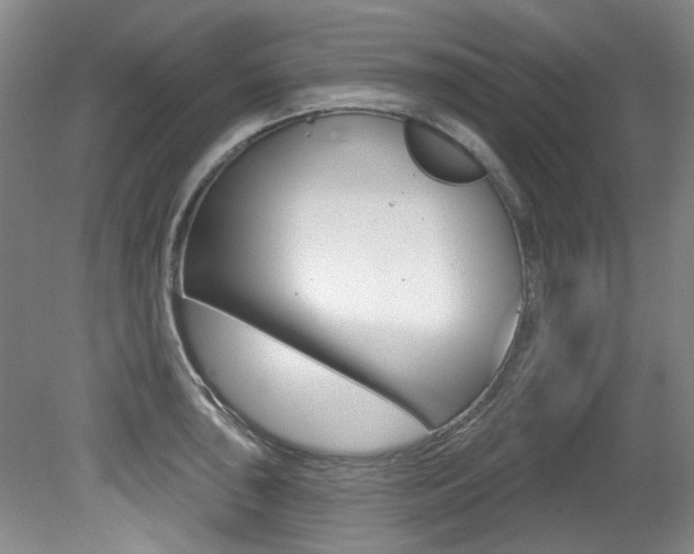 X0000079331043200611170951