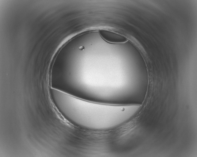 X0000079331044200611170951