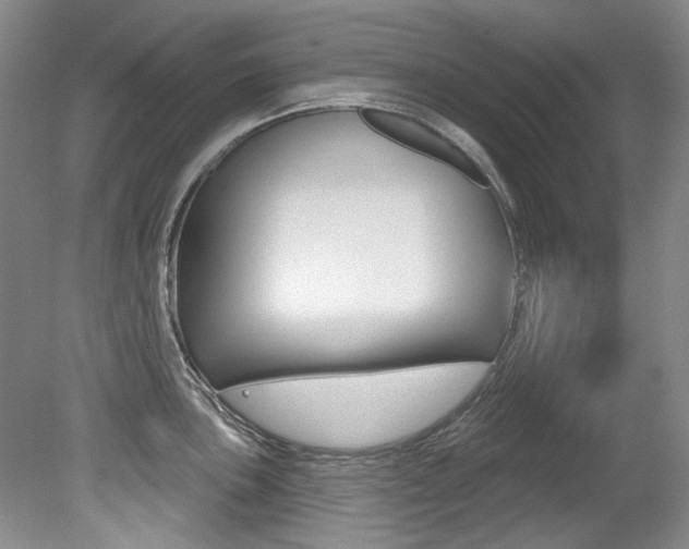 X0000079331051200611170951