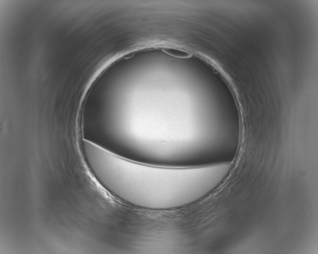 X0000079331056200611170951