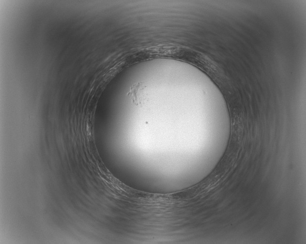 X0000079331058200611170950