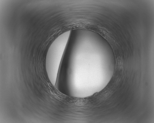X0000079331060200611170950