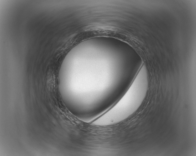 X0000079331061200611170950
