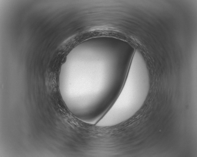 X0000079331062200611170950
