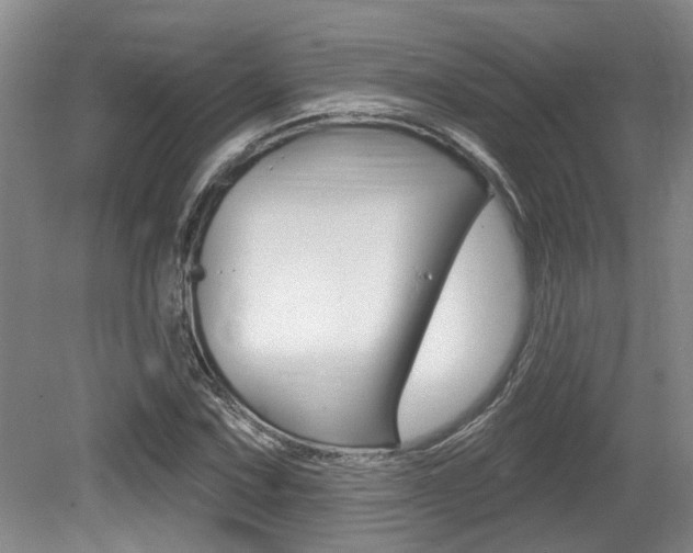 X0000079331067200611170950