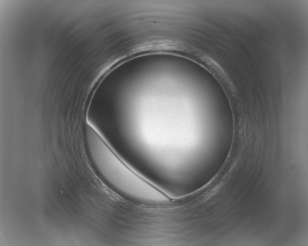 X0000079331081200611170950
