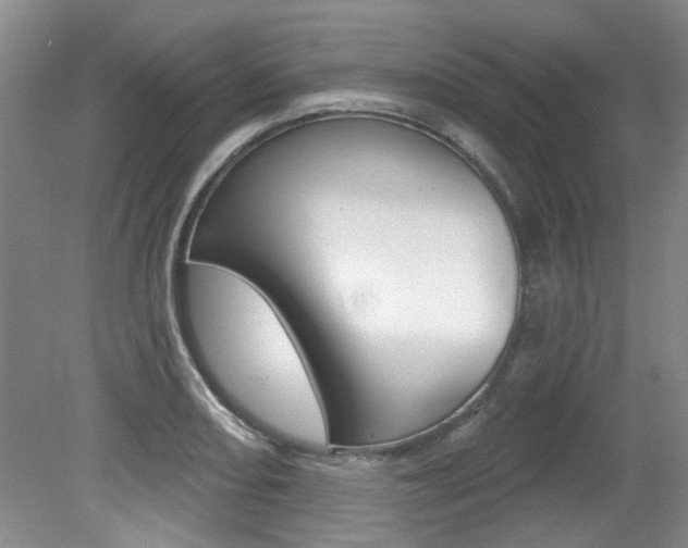 X0000079331082200611170950