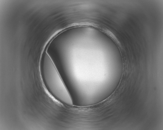 X0000079331084200611170950