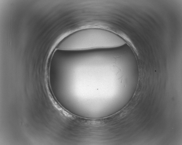 X0000079331088200611170950