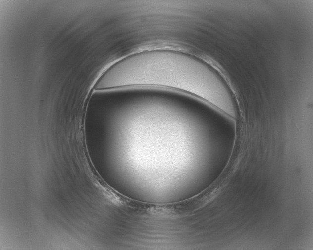 X0000079331089200611170950