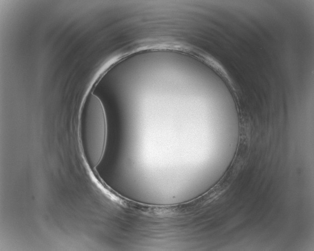 X0000079331095200611170950