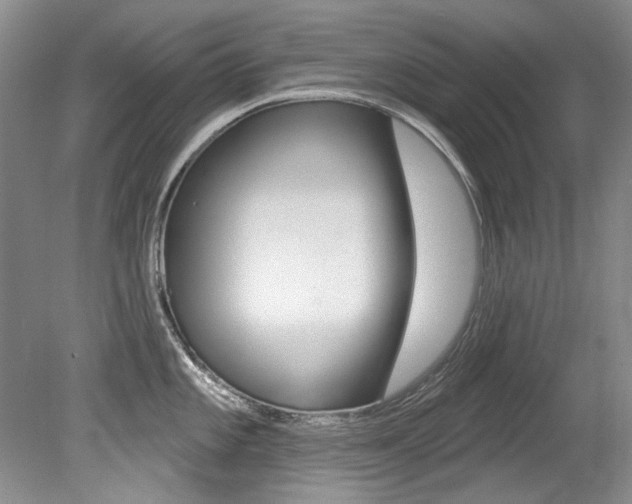 X0000079331101200611170950