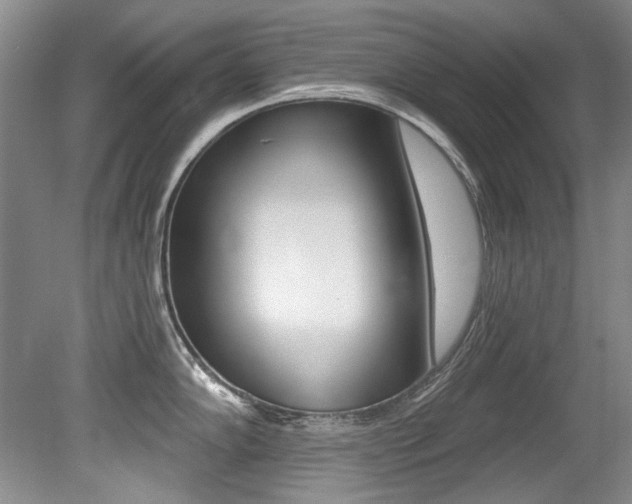 X0000079331102200611170950