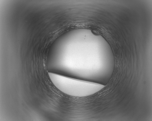X0000079331106200611170949