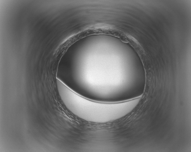X0000079331112200611170949