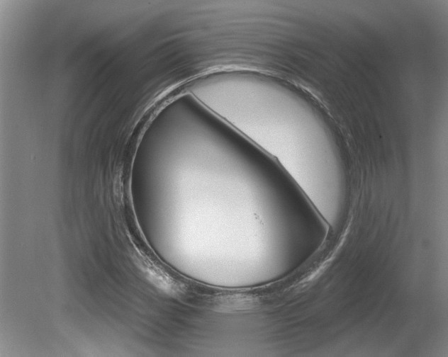 X0000079331113200611170949