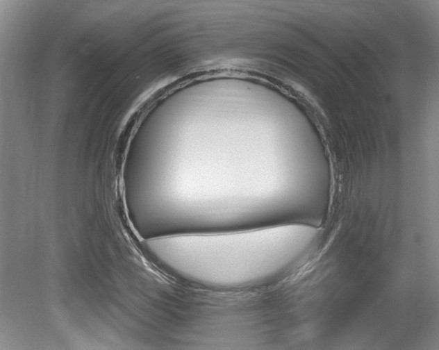 X0000079331117200611170949