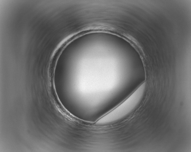 X0000079331120200611170949