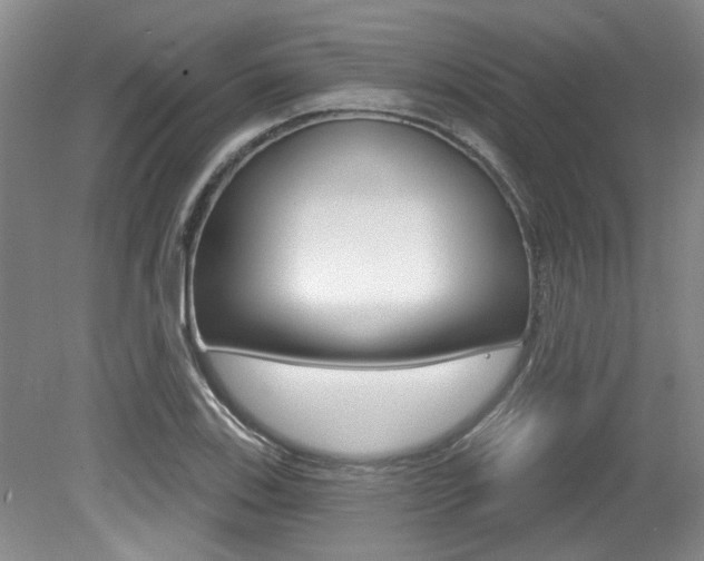 X0000079331123200611170949
