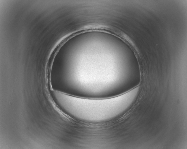 X0000079331124200611170949