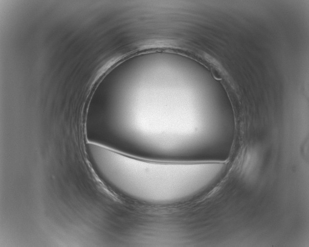 X0000079331129200611170949