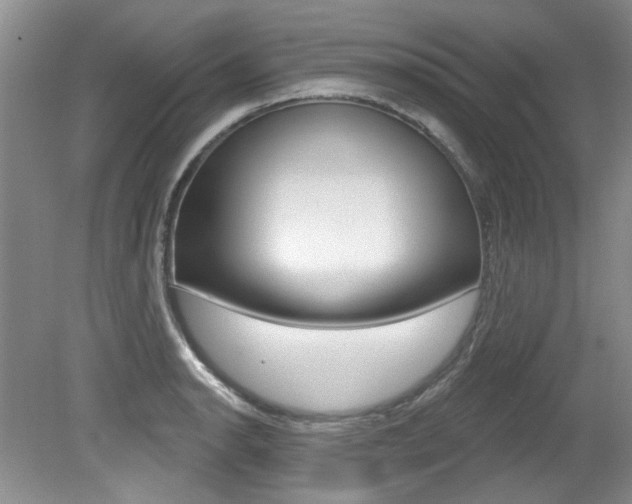 X0000079331134200611170949
