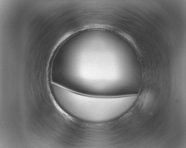 X0000079331135200611170949