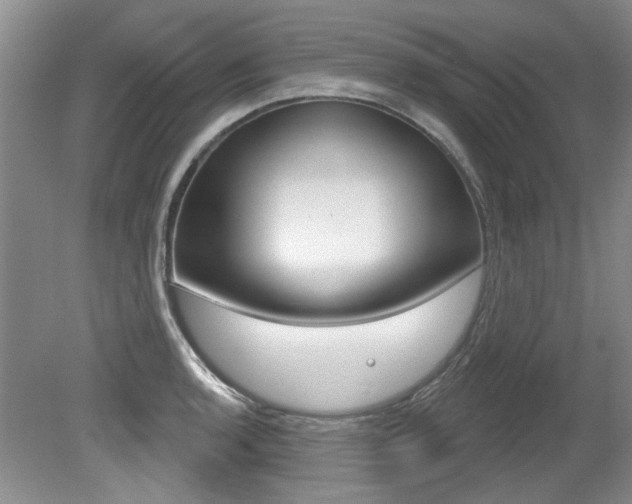 X0000079331136200611170949