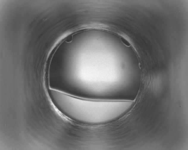 X0000079331139200611170949