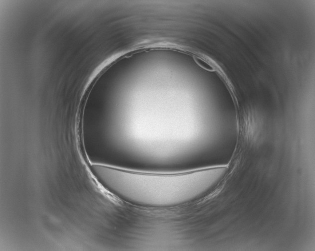 X0000079331149200611170950