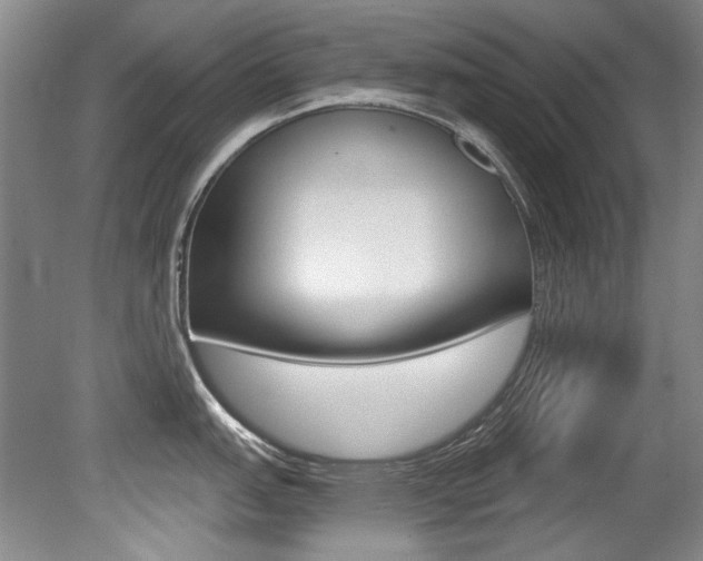 X0000079331151200611170950