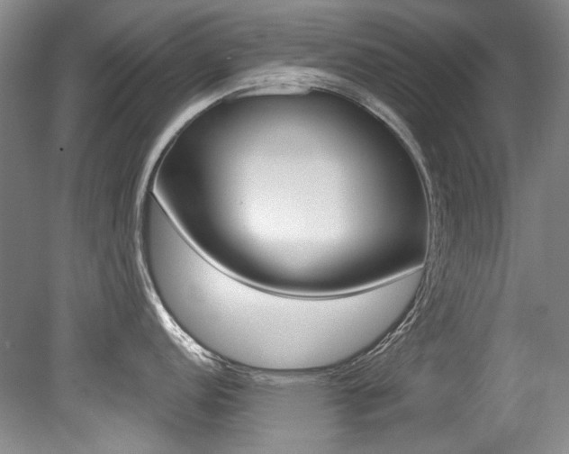 X0000079331152200611170950