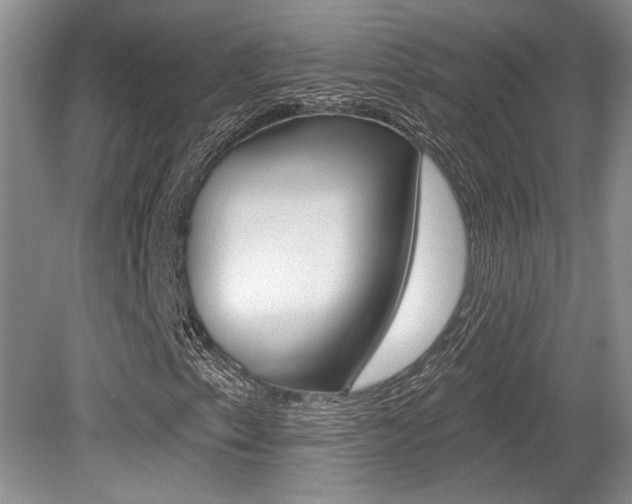 X0000079331153200611170949
