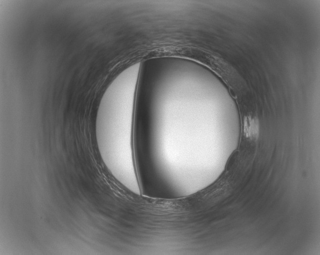X0000079331155200611170949